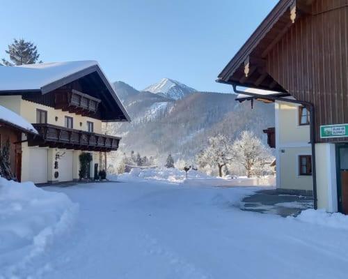 Ferienwohnung Unterwoehrlehen Faistenau Exterior foto