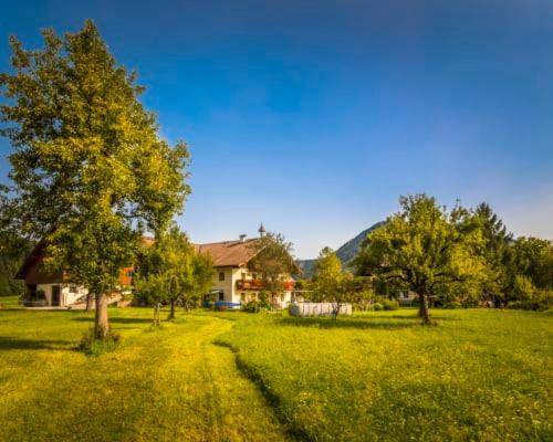 Ferienwohnung Unterwoehrlehen Faistenau Exterior foto